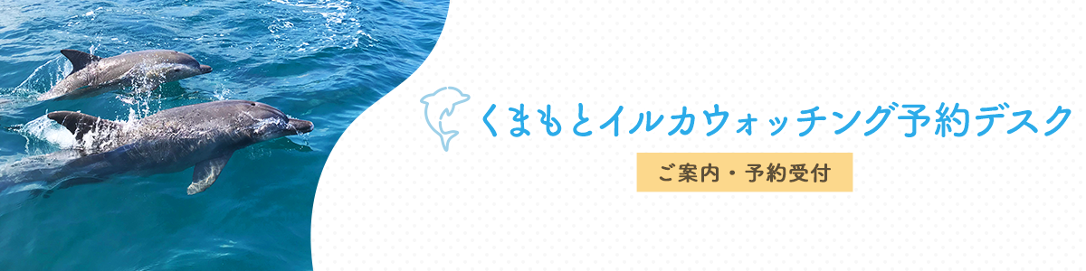 くまもとイルカウォッチング予約デスク