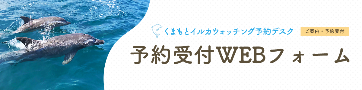 熊本県天草市イルカウォッチング予約受付(仮)