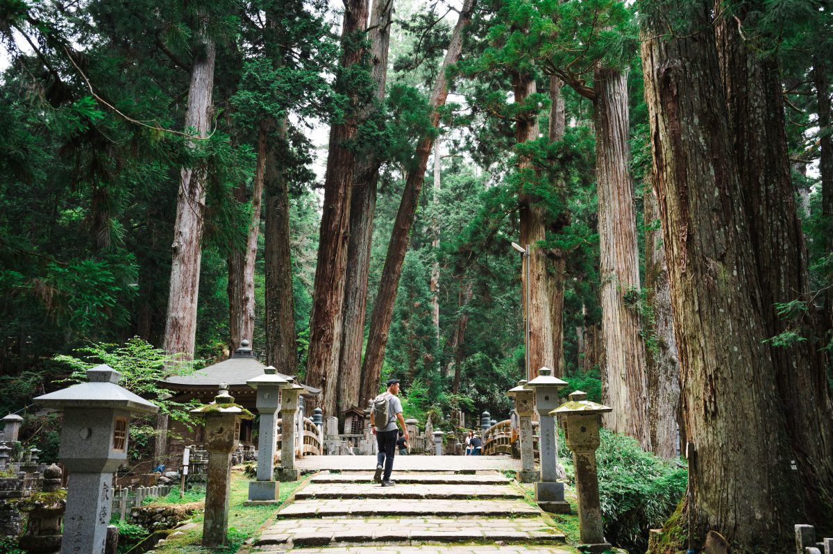 写真提供：(公社)和歌山県観光連盟、Photo Credit: Wakayama Tourism Federation