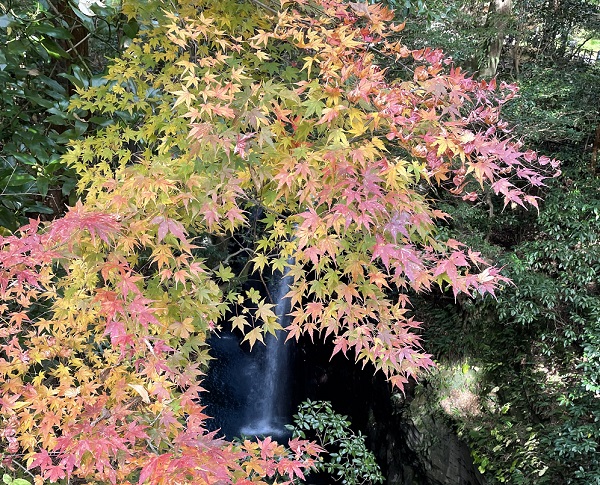 彩の渓谷　秋の高千穂峡