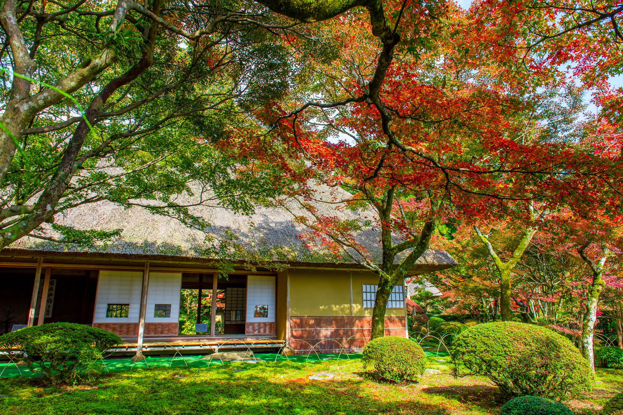 写真提供：佐賀県観光連盟