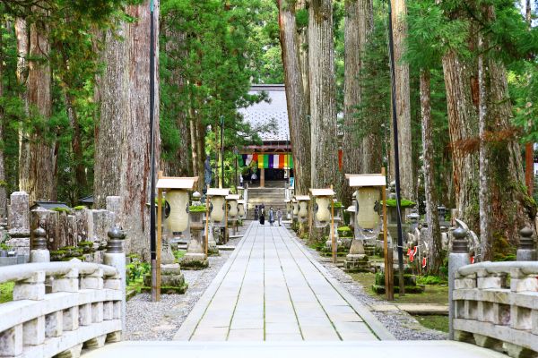 【高野山】奥之院（イメージ）