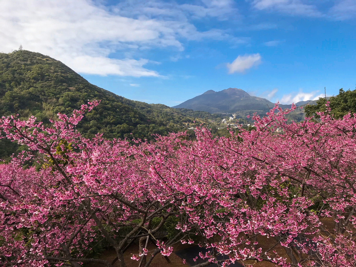 陽明山国定公園/イメージ
