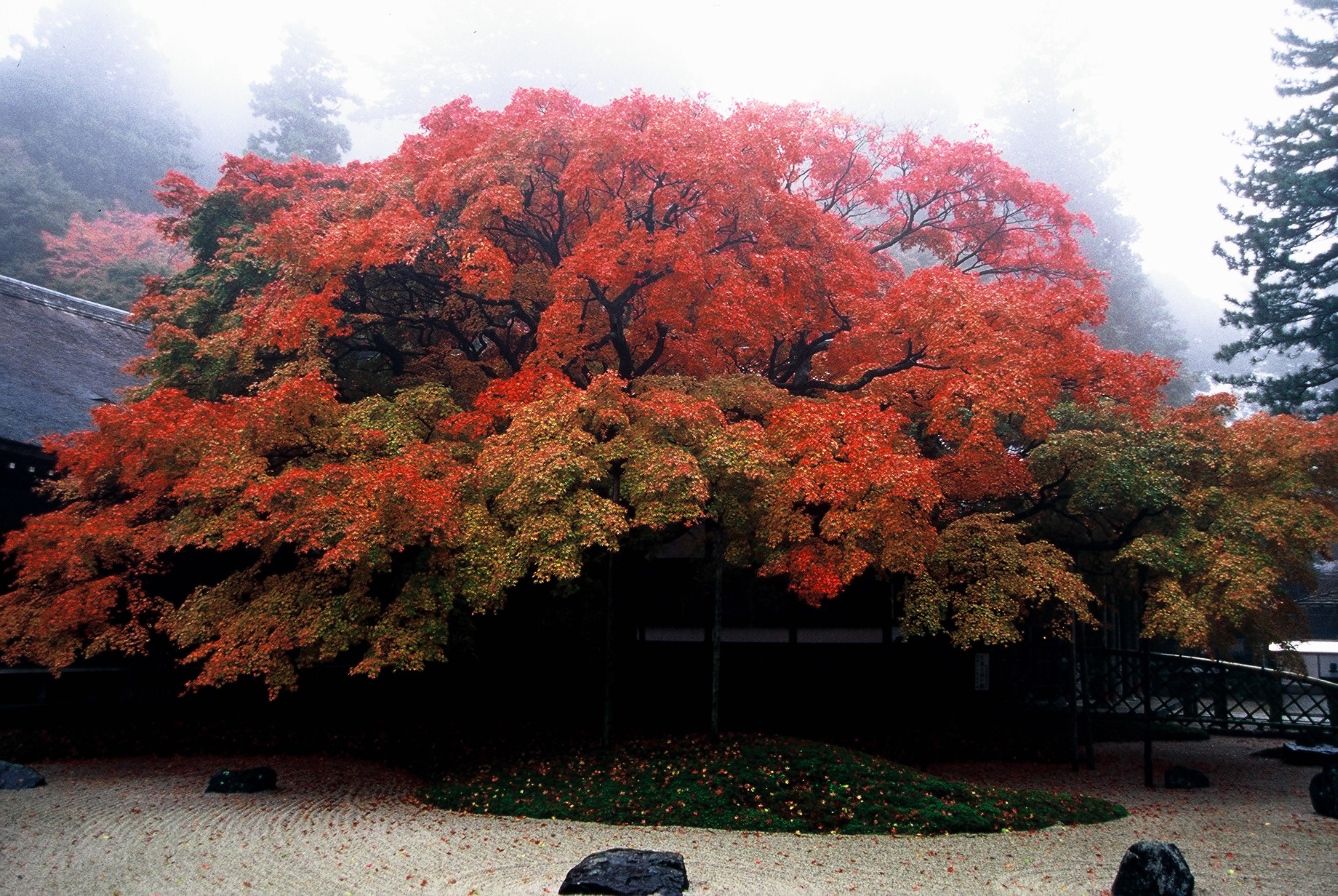 雷山千如寺イメージ