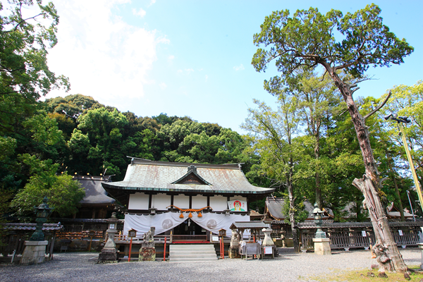 【南紀田辺】鬪雞神社 